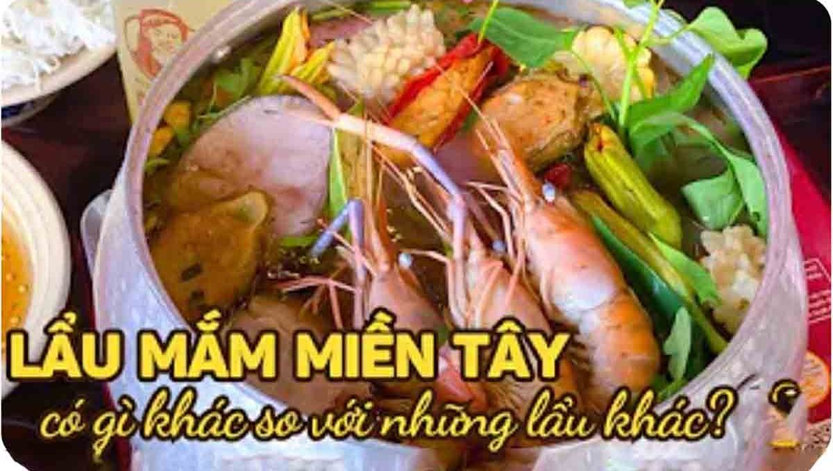 Lẩu Mắm Miền Tây có gì đặc sắc so với những món lẩu khác? 